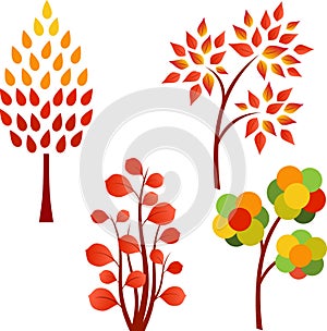 Fall Tree Illustrations