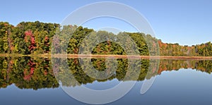 Fall tree reflection on lake in Michigan.