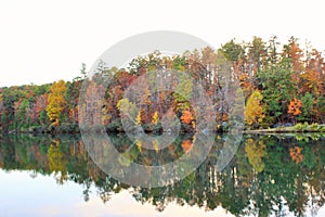 Fall Trees along a lake