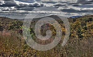 Fall Trees In The Blue Ridge Mountains