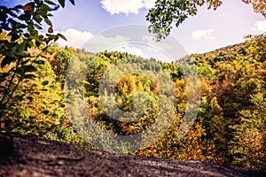 Fall trees changing color in Berkshires, Massachusetts USA Autumn photo