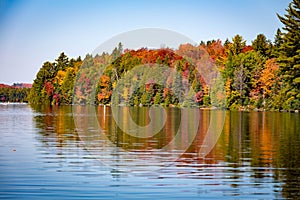 Fall trees with lake