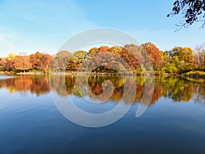 Fall Trees Line Lake Edge in Beautiful Autumn Colors