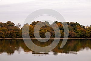 Fall trees reflected in the water