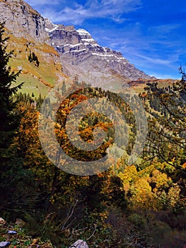 Fall trees on slopes of the Glarus Alp mountains