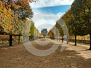 Fall in Tuileries garden, Paris photo