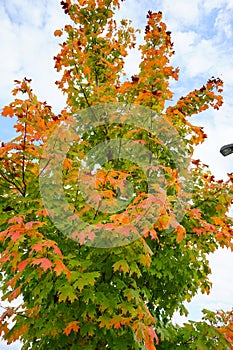 Fall of University of Mississippi campus