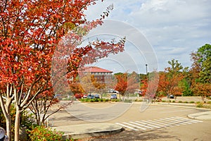 Fall of University of Mississippi campus