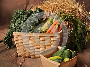 Fall Vegetables in 2 baskets