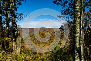 Fall View Bald Mountain in the Blue Ridge Mountains , Virginia, USA