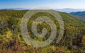 A Fall View of the Blue Ridge Mountain