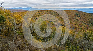 Fall View of the Blue Ridge Mountains, Virginia, USA