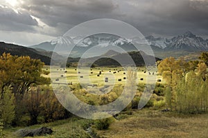 Fall view of hay bales in a field with San Juan Mountain range of the Dallas Divide just outside of Ridgway, Colorado photo