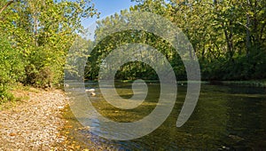 Fall View of Maury River at Goshen, Virginia, USA