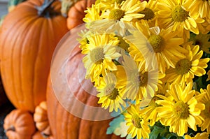 Fall Vignette with Yellow Chrysanthemum Flowers and Pumpkins on a Front Porch