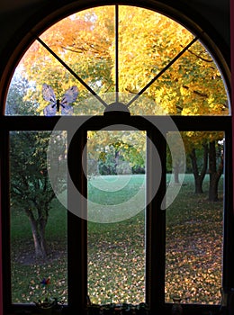 Fall window