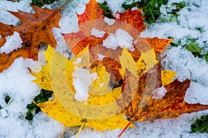 When Fall and Winter collide