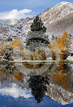 Fall & Winter Landscape in the Sierra Mountains
