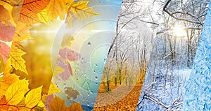 Fall and winter, weather forecast concept photo
