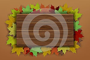 Fall wooden board. Wood sign. Orange autumn tree leaves. Isolated realistic text frame. Old flora branch. Information