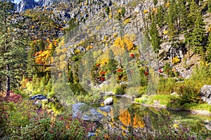 Fall Yellow Red Colors Reflection Wenatchee River Washington