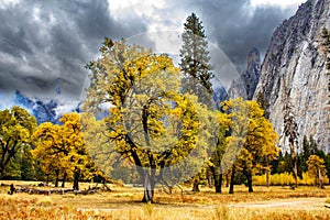 Fall in Yosemite Valley