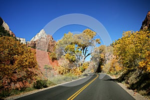 Fall in Zion