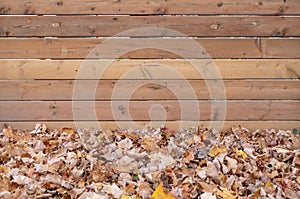 Fallen Autumn Leaves Against a New Wooden Fence