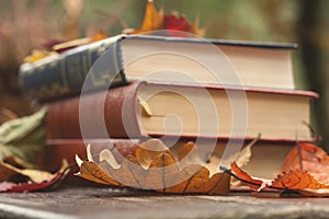 Gefallen Herbst Blätter a Bücher 