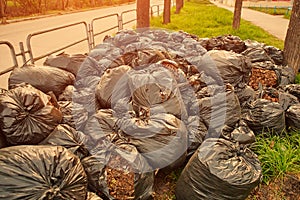 Fallen autumn leaves in plastic bags on the pavement. Cleaning the streets of the city. The concept of clean planet