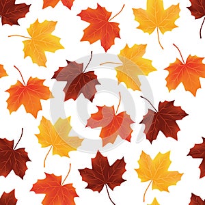 Fallen autumn leaves seamless background pattern texture