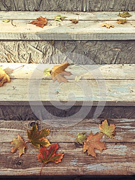 Fallen autumn maple leaves on the steps of a wooden staircase