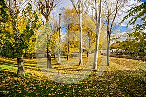 Fallen beautifull leaves in autumn