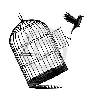Fallen birdcage and a black bird flying away isolated on white