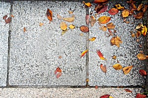 Fallen colorful autumn leaves on light grey granite pavement texture background, Kyoto