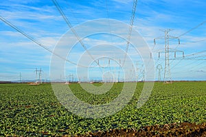 Fallen electricity pylon. Unused transmissions or power towers taken down near nuclear power plant due to deactivation of reactor.