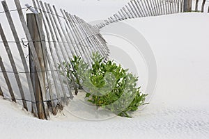 Fallen fencing on white beach