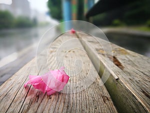 Fallen flower pedal lying on the wooden board