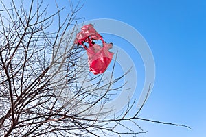 Fallen flying lantern