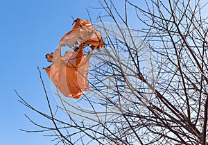 Fallen flying lantern