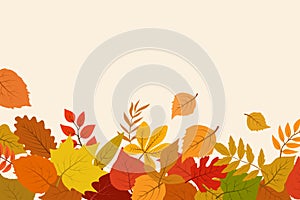 Fallen gold and red autumn leaves. October nature vector abstract background with foliage border