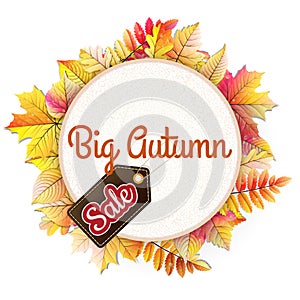 Fallen leaf Big Sale. EPS 10