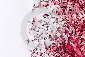 Fallen leafs and snow during winter time