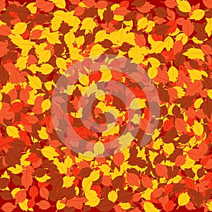 Fallen Leaves Autumn Background