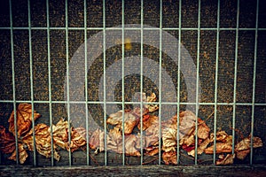 Fallen Leaves Behind Wire Grate Background