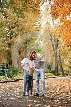 Fallen leaves are on the ground. Lovely couple are with their cute dog outdoors