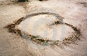 Fallen leaves are heart-shaped .