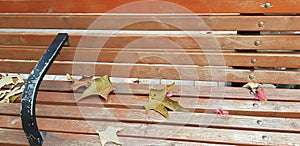 Fallen leaves lay on wooden bench