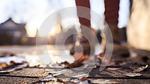 Fallen leaves lie on a stone pavement in the sun, on a blurred b