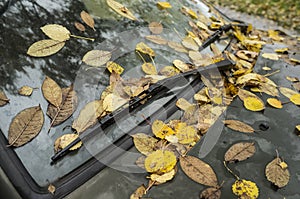 Fallen leaves lie on the windshield of the car and under the hood.